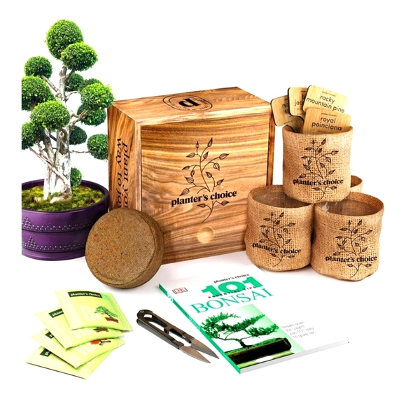 Planter's Choice Bonsai Starter Kit Deluxe - Gardening Gift - Picture 1 of 11